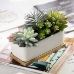 5.5” Faux Succulent in Ceramic Pot - Chic Decora