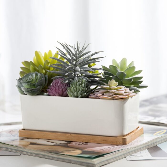 5.5” Faux Succulent in Ceramic Pot - Chic Decora