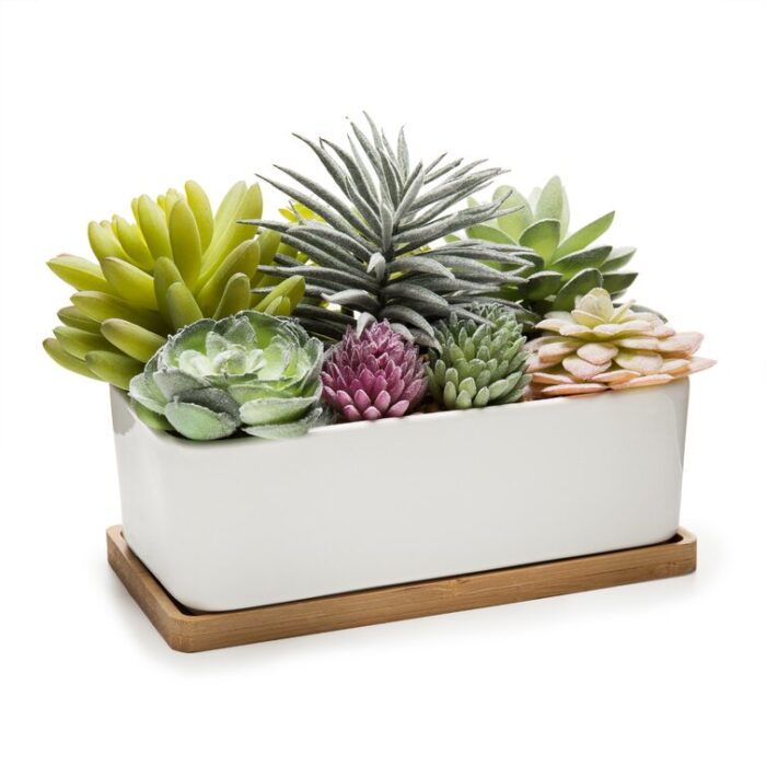 5.5” Faux Succulent in Ceramic Pot - Chic Decora