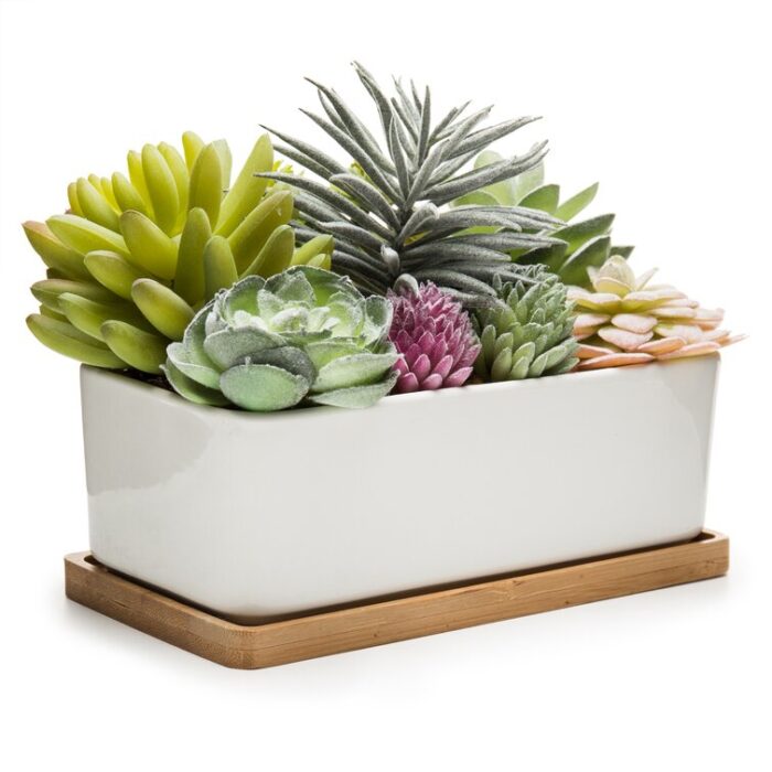 5.5” Faux Succulent in Ceramic Pot - Chic Decora