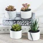 5.7” Faux Succulent Plant in Ceramic Planter - Chic Decora