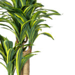 52” Faux Dracaena Plant in Pot - Chic Decora