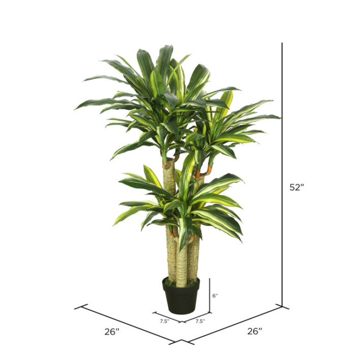 52” Faux Dracaena Plant in Pot - Chic Decora