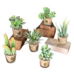 11” Faux Succulent Plant in Wood Pot - Chic Decora