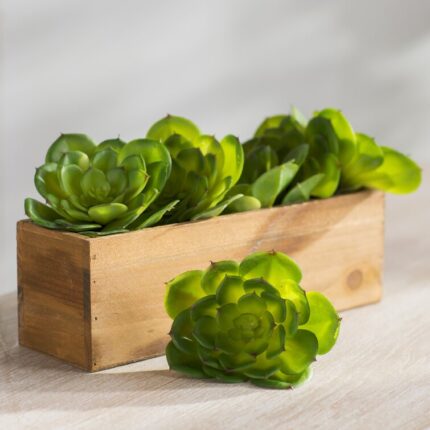 5” Faux Succulent Plant - Chic Decora