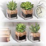 5” Faux Succulent Plant in Glass Pot - Chic Decora