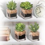 5” Faux Succulent Plant in Glass Pot - Chic Decora