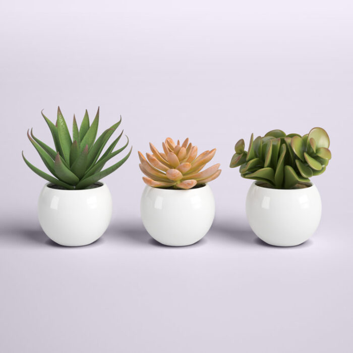 5” Faux Succulent Plant in Pot - Chic Decora