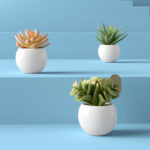 5” Faux Succulent Plant in Pot - Chic Decora