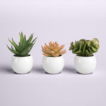 5” Faux Succulent Plant in Pot - Chic Decora