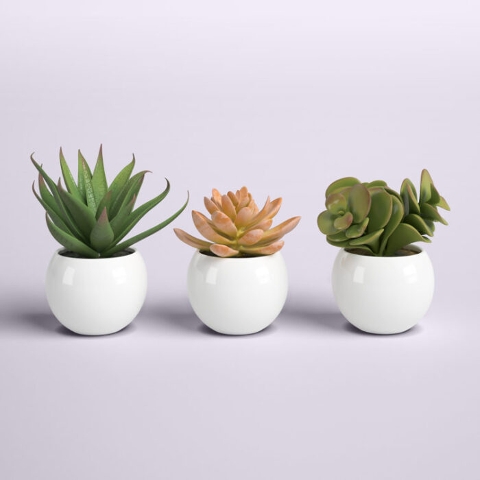 5” Faux Succulent Plant in Pot - Chic Decora