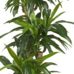 57” Faux Dracaena Plant in Planter - Chic Decora