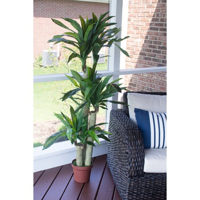 57” Faux Dracaena Plant in Planter - Chic Decora