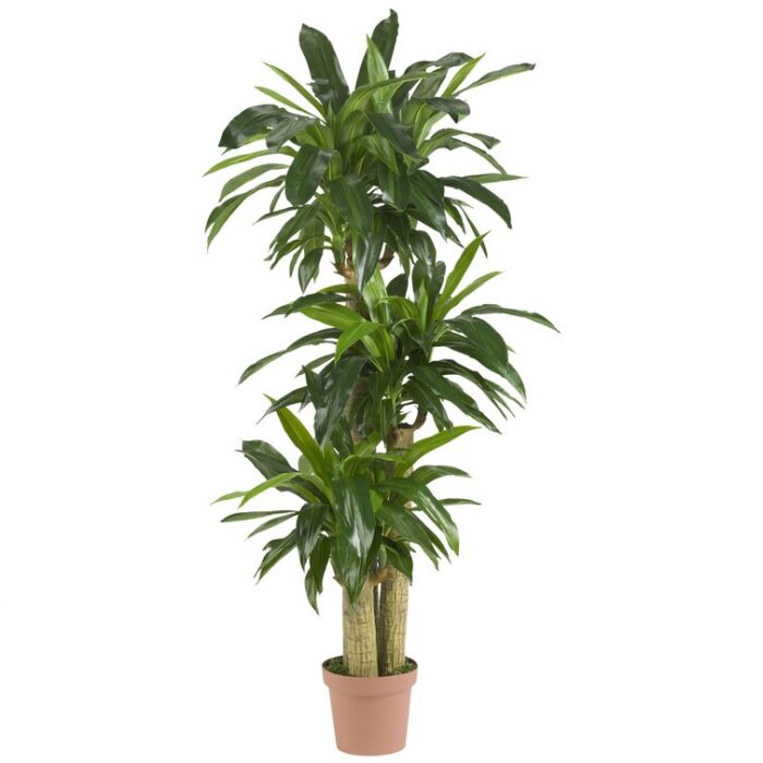 57” Faux Dracaena Plant in Planter - Chic Decora