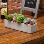 6.1” Faux Succulent Plant in Cement Pot - Chic Decora