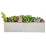 6.1” Faux Succulent Plant in Cement Pot - Chic Decora