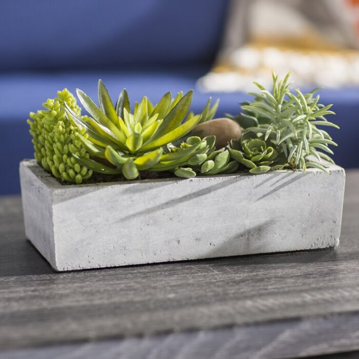 6.5” Faux Succulent Plant in Stone Planter - Chic Decora