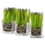 6.75” Faux Foliage Grass in Glass Jar - Chic Decora