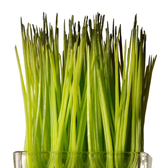 6.75” Faux Foliage Grass in Glass Jar - Chic Decora