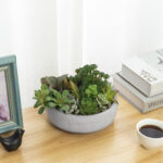 6.88” Faux Succulent Plant in Cement Pot - Chic Decora