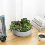 4.5” Faux Succulent Plant in Ceramic Vase - Chic Decora