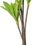 60″ Artificial Real Touch Dracaena. - Chic Decora