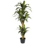 20.5” Faux Foliage Plant in Wood Planter - Chic Decora