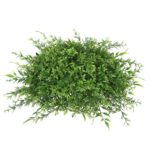 6” Faux Foliage Plant - Chic Decora