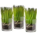 6” Faux Onion Grass Grass in Glass Jar - Chic Decora