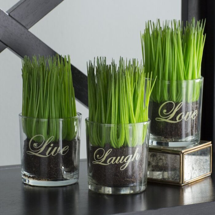 6” Faux Onion Grass Grass in Glass Jar - Chic Decora