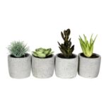 6” Faux Succulent Plant in Ceramic Pot - Chic Decora