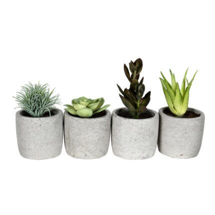 6” Faux Succulent Plant in Ceramic Pot - Chic Decora