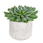 6” Faux Succulent Plant in Stone Pot - Chic Decora