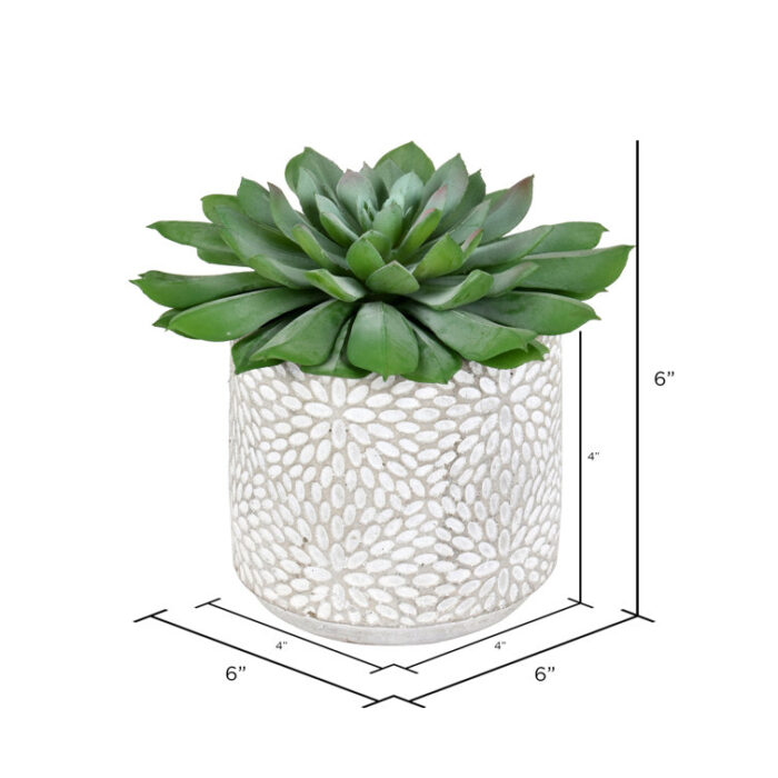 6” Faux Succulent Plant in Stone Pot - Chic Decora