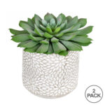 6” Faux Succulent Plant in Stone Pot - Chic Decora