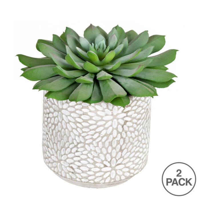 6” Faux Succulent Plant in Stone Pot - Chic Decora