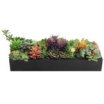 6” Faux Succulent in Wood Planter - Chic Decora