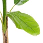 64″ Artificial Banana Leaf Plant in Pot - Chic Decora