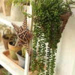 64” Faux Succulent Plant - Chic Decora