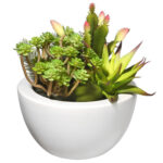 7.5” Faux Succulent Plant in Ceramic Pot - Chic Decora