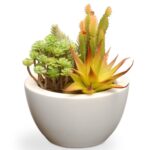 7.5” Faux Succulent Plant in Ceramic Pot - Chic Decora