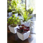 7” Faux Succulent Plant in Ceramic Pot - Chic Decora