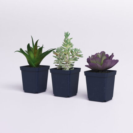 7” Faux Succulent Plant in Pot - Chic Decora