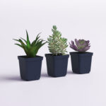 7” Faux Succulent Plant in Pot - Chic Decora