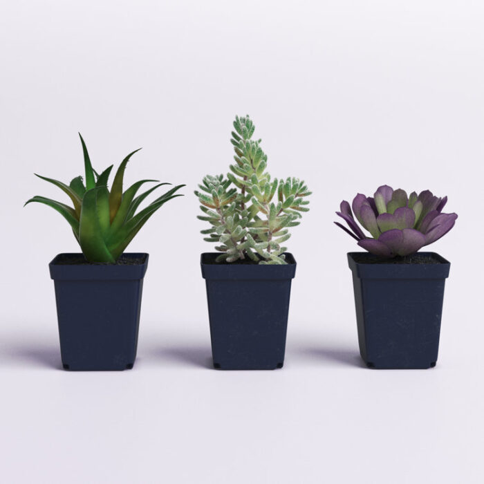 7” Faux Succulent Plant in Pot - Chic Decora