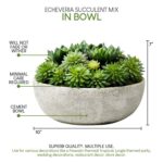 7” Faux Succulent Plant in Stone Pot - Chic Decora