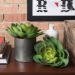 8” Faux Succulent Plant - Chic Decora