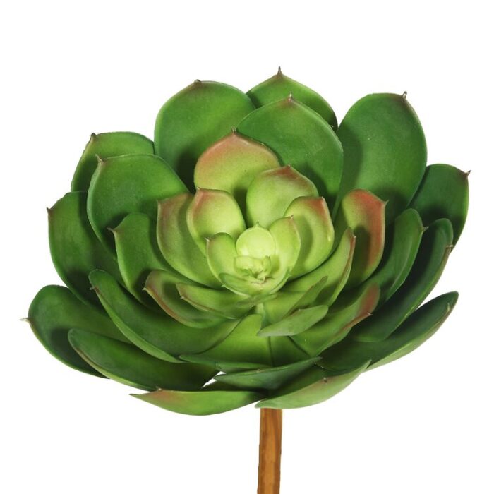 8” Faux Succulent Plant - Chic Decora