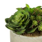 8” Succulent Plant - Chic Decora