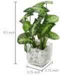 9.44” Faux Foliage Plant in Glass Vase - Chic Decora